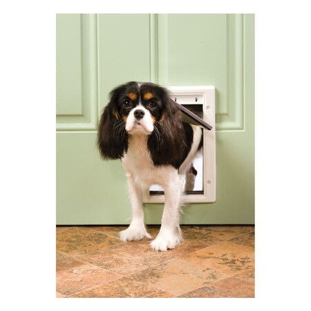 Pet Safe Pet Door Plst Sml PPA00-10958